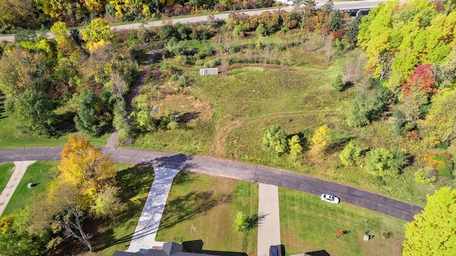 LOT6 Twin Meadows Dr, Jackson, MI 49201 - photo 5