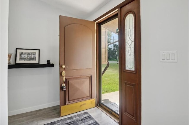 foyer entrance with wood-type flooring and plenty of natural light