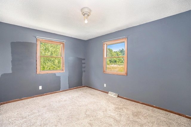 empty room with plenty of natural light, carpet, and a textured ceiling