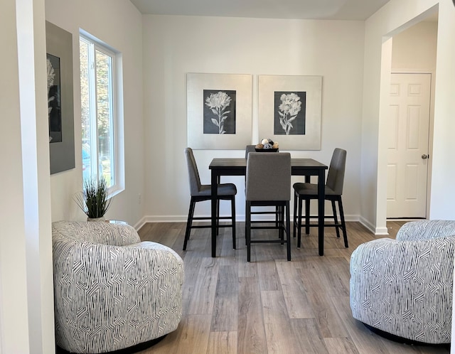 dining room with hardwood / wood-style flooring