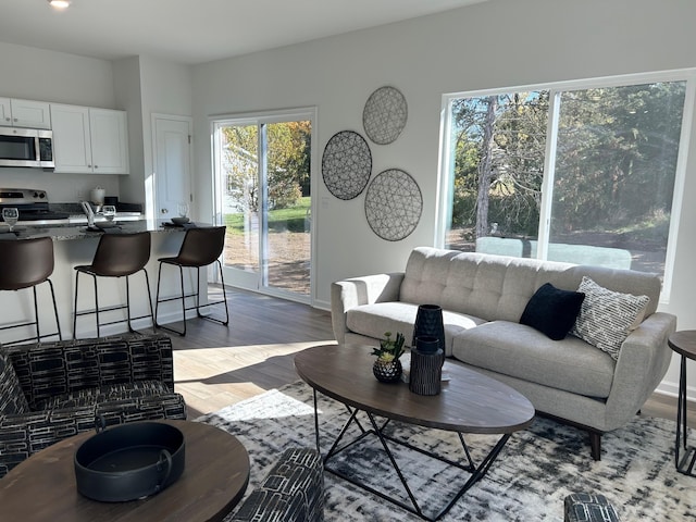 living room featuring hardwood / wood-style floors