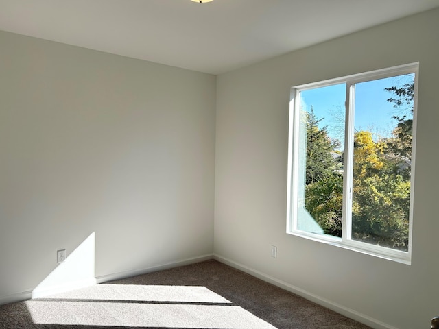 carpeted spare room with plenty of natural light