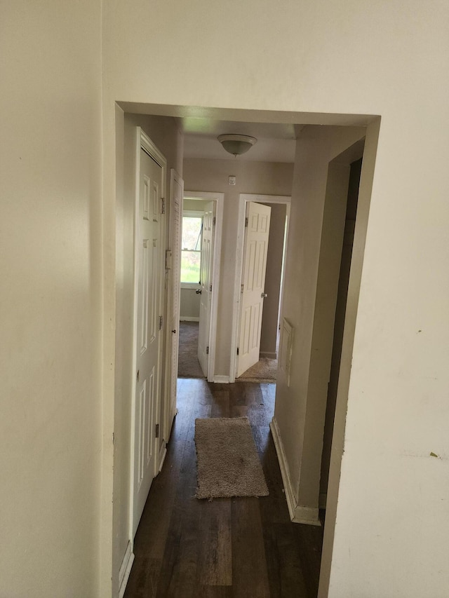 hall featuring dark wood-type flooring