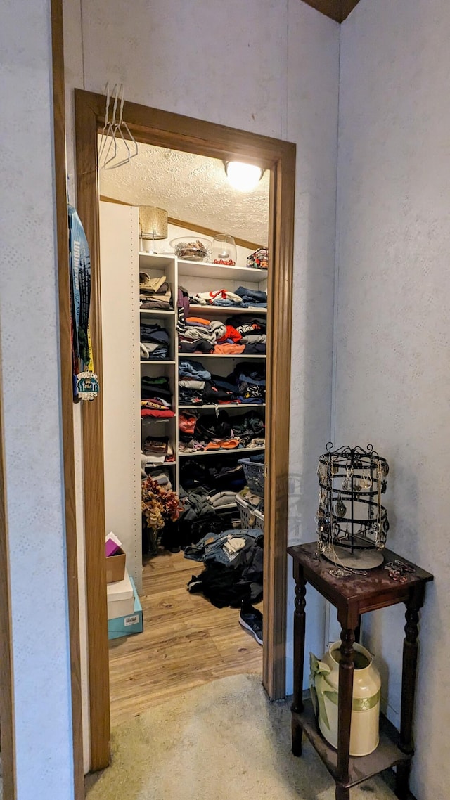 walk in closet featuring wood-type flooring