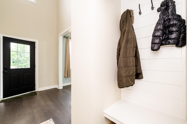 mudroom with dark hardwood / wood-style floors