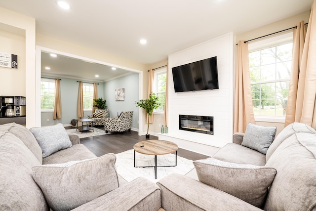 living room featuring a large fireplace, plenty of natural light, and dark hardwood / wood-style floors