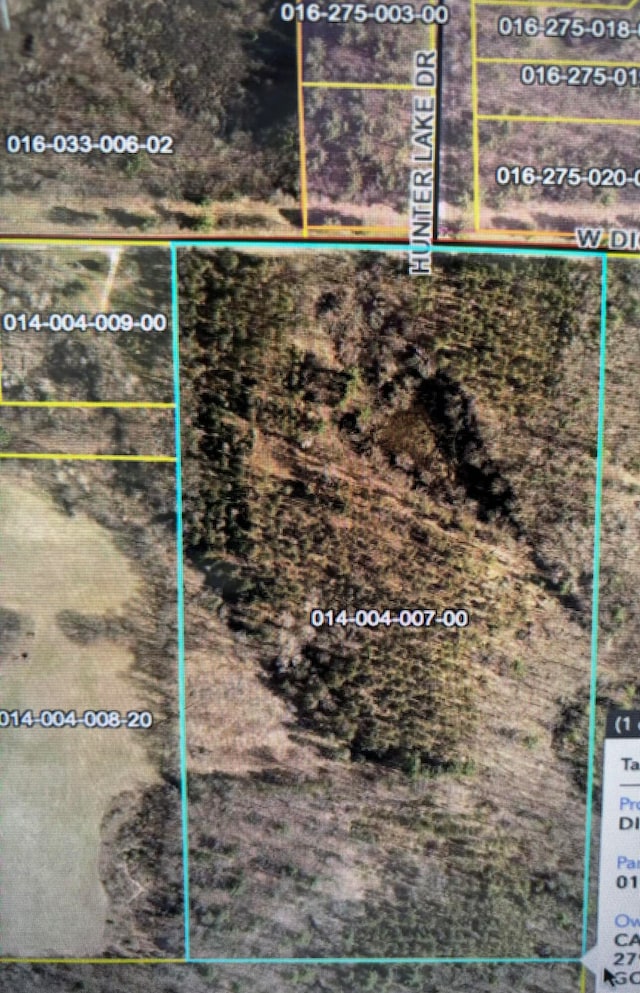 Listing photo 2 for V/L W Dickerson Lake Rd, Gowen MI 49326