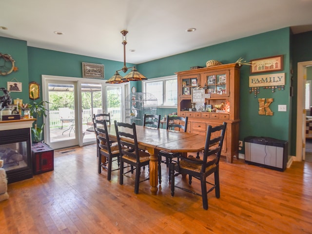 dining space featuring a healthy amount of sunlight and wood-type flooring