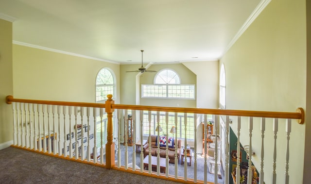 hall with crown molding and carpet flooring