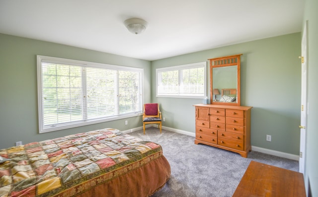 bedroom featuring carpet flooring