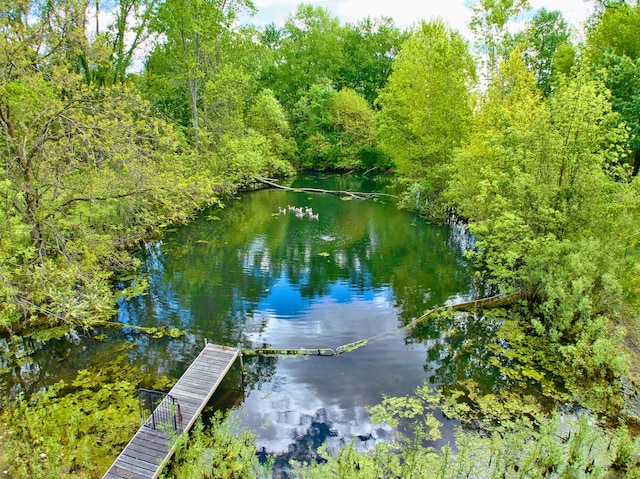 view of water feature