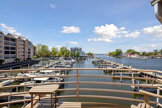 dock area with a water view