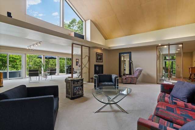 living room featuring high vaulted ceiling, wooden ceiling, carpet, and rail lighting