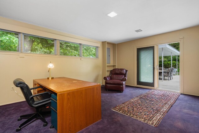 carpeted office space featuring a wealth of natural light