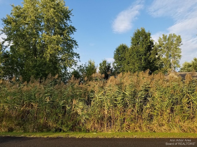 7966 Kingsley Dr, Onsted MI, 49265 land for sale