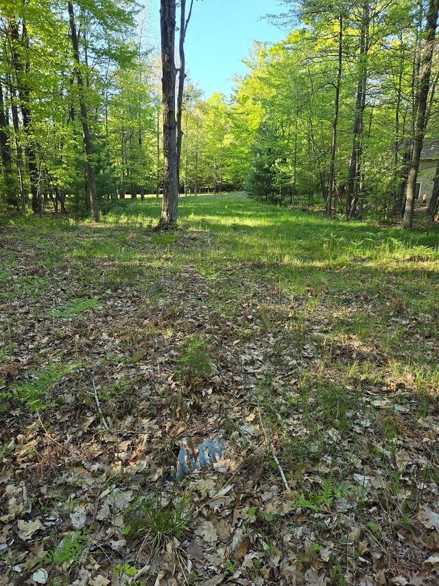 15 N Ridge Rd Lt5 14, Mears MI, 49436 land for sale