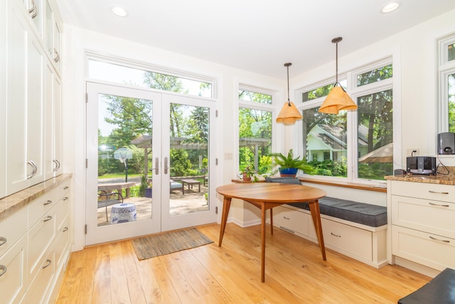 interior space with plenty of natural light, light hardwood / wood-style floors, and french doors