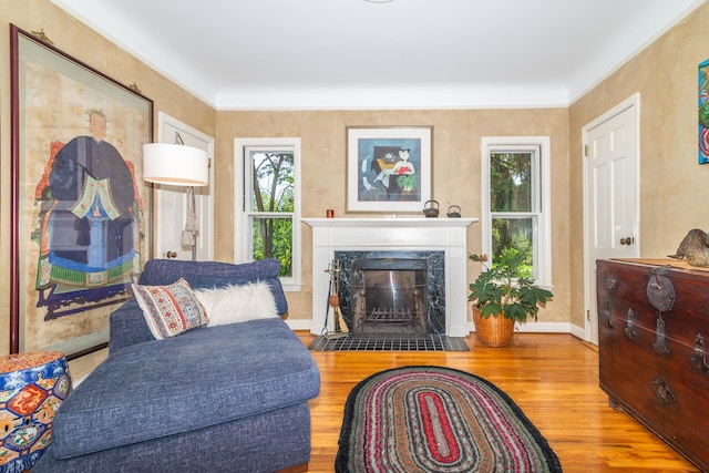 living room with a fireplace, hardwood / wood-style flooring, and a wealth of natural light