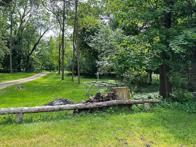 view of community featuring a lawn