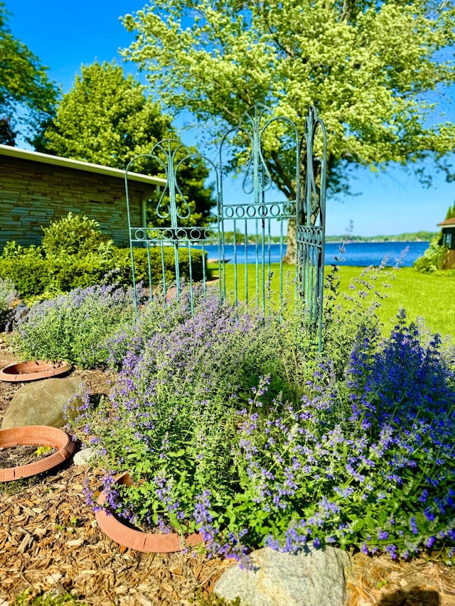 view of yard with a water view