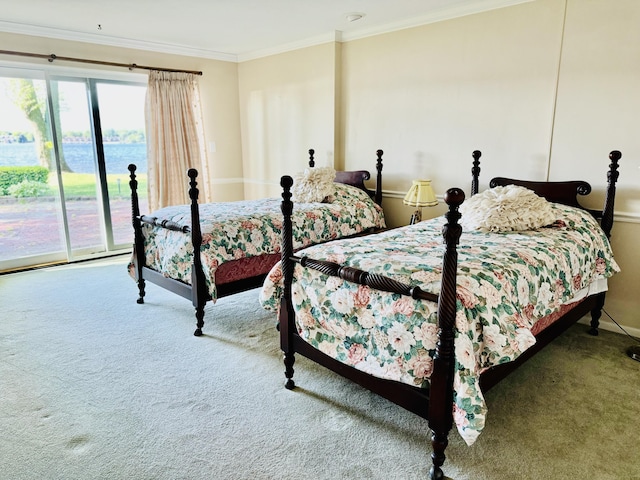 carpeted bedroom featuring access to exterior, crown molding, and a water view