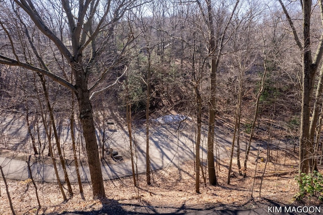 Listing photo 3 for LOT45 Valleywood Ct, Holland MI 49423