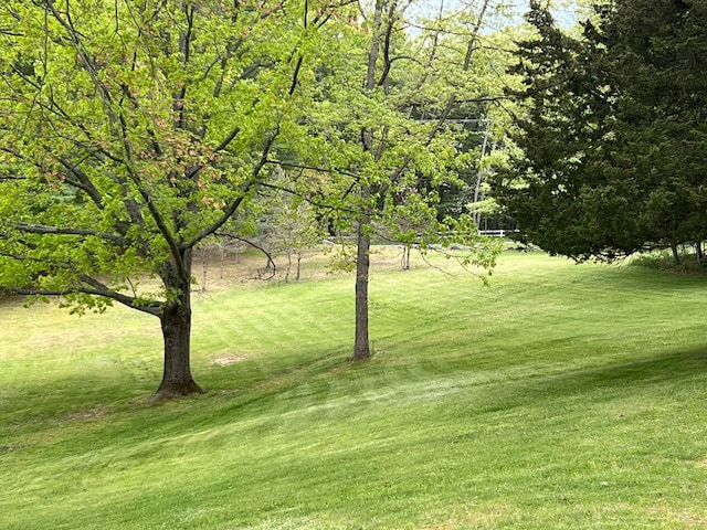 view of property's community with a yard