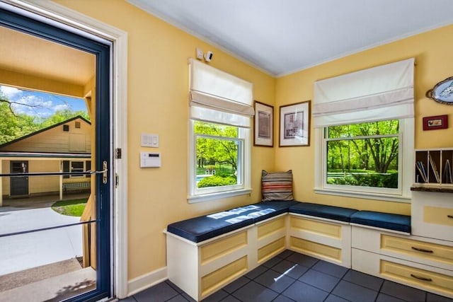 mudroom featuring a healthy amount of sunlight, dark tile patterned flooring, and ornamental molding