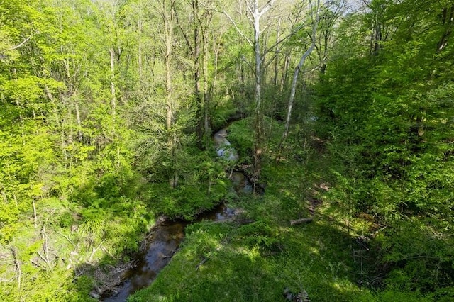 view of local wilderness