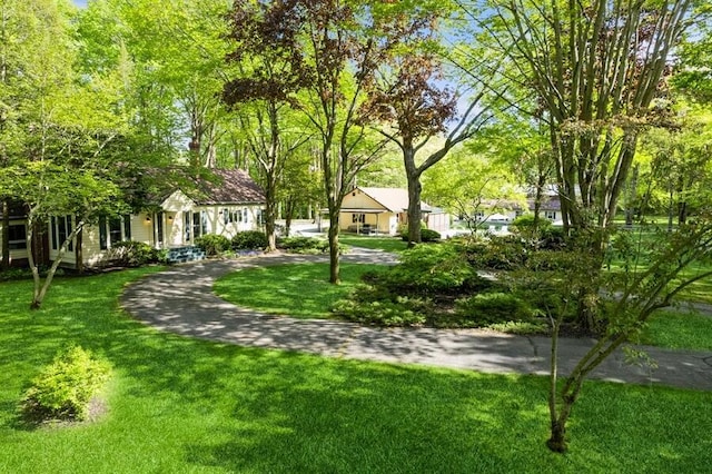 view of property's community featuring a lawn