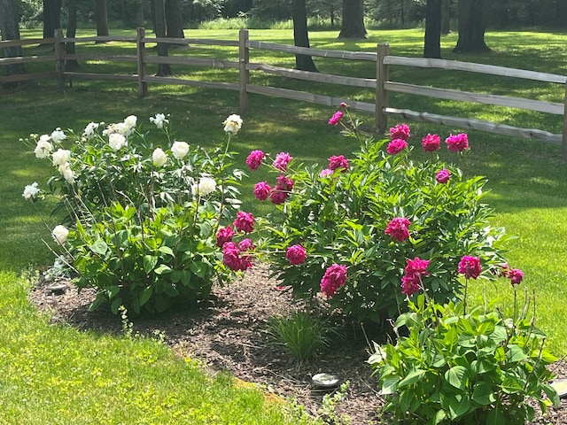 surrounding community with a lawn