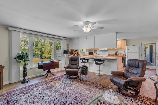 living room with ceiling fan and light wood-type flooring