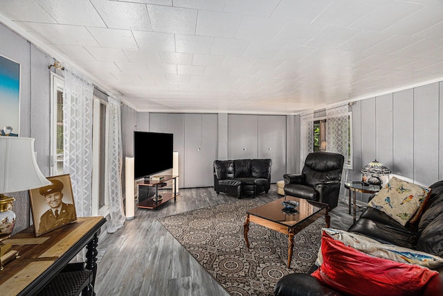 living room featuring hardwood / wood-style floors