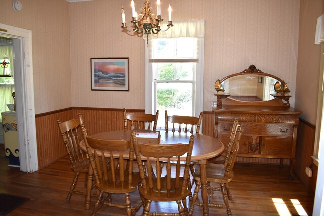 dining area with dark hardwood / wood-style floors and a notable chandelier