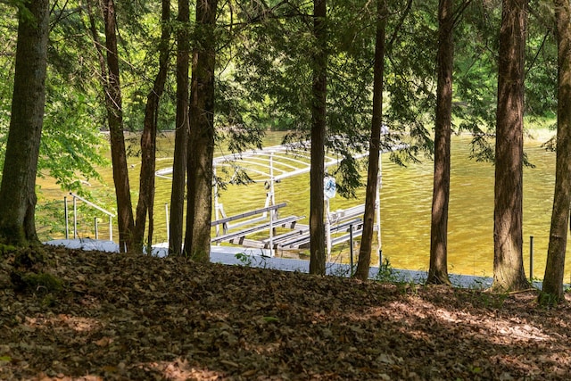 view of dock with a rural view