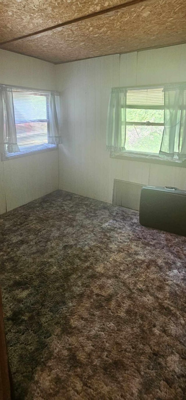 empty room with wood walls, carpet, and a healthy amount of sunlight