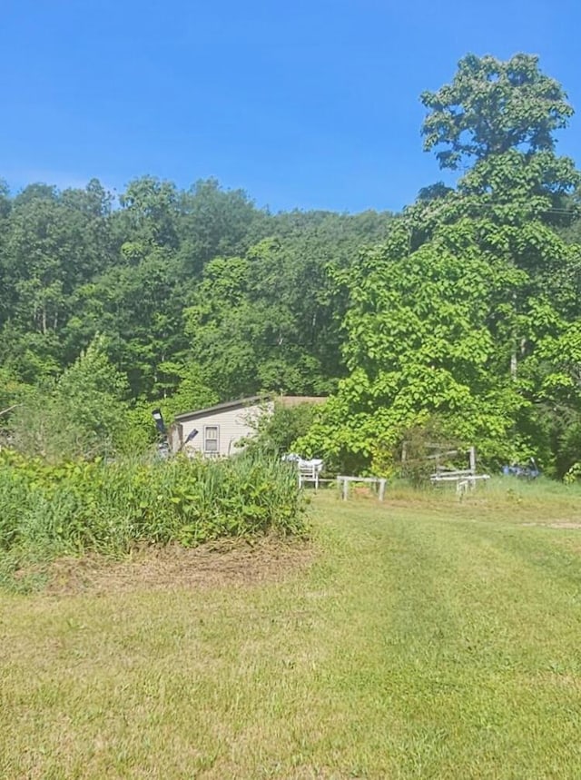 view of yard with a rural view