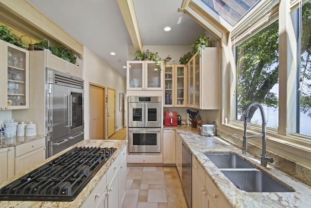 kitchen featuring light stone countertops, appliances with stainless steel finishes, sink, and a healthy amount of sunlight