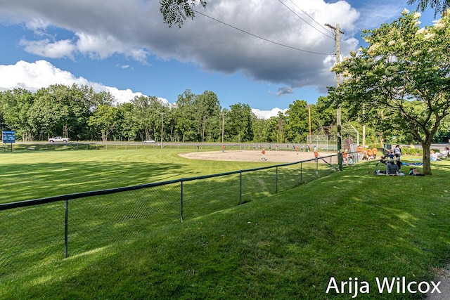 view of property's community with a yard