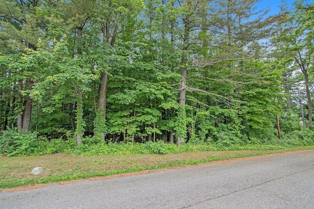 171 Thomas St, Allegan, MI 49010