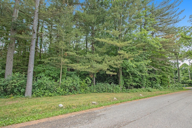 171 Thomas St, Allegan, MI 49010