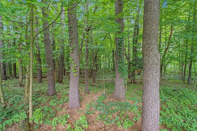 171 Thomas St, Allegan, MI 49010