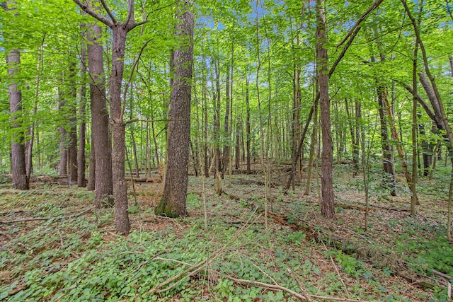 171 Thomas St, Allegan, MI 49010
