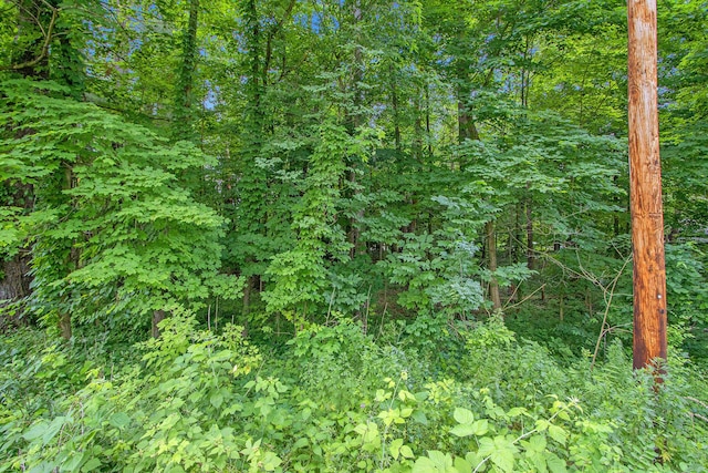 171 Thomas St, Allegan, MI 49010