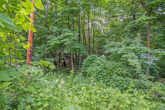 171 Thomas St, Allegan, MI 49010