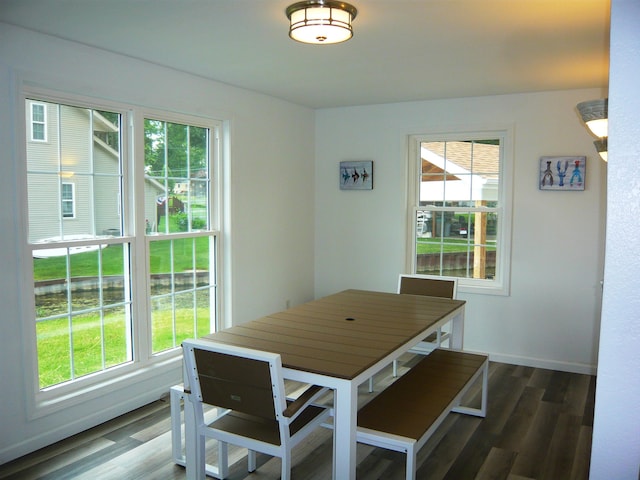 dining space featuring dark hardwood / wood-style flooring and a healthy amount of sunlight