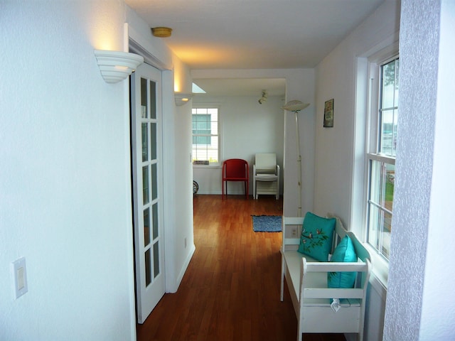 corridor with dark hardwood / wood-style floors