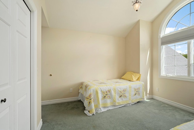 bedroom with a closet, lofted ceiling, and carpet