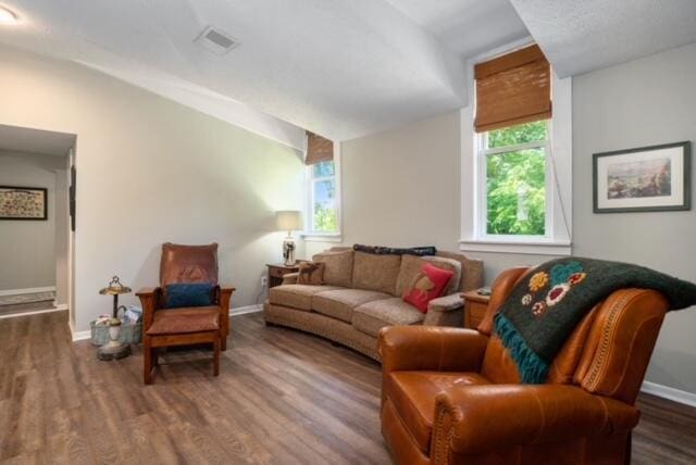 living room with wood-type flooring and vaulted ceiling