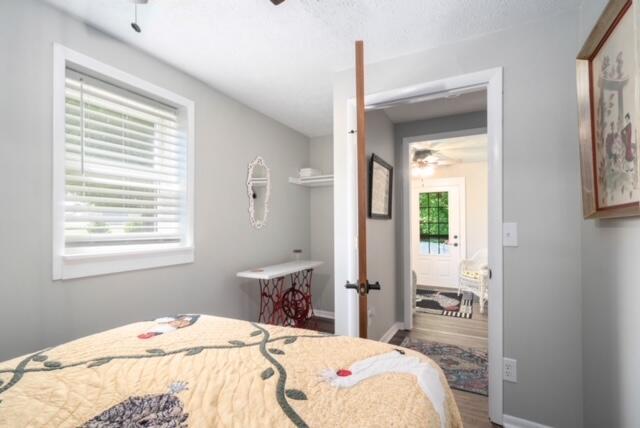 bedroom featuring multiple windows and wood-type flooring